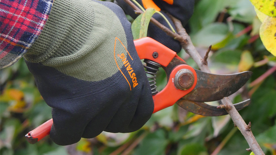 Gants de protection Rostaing Midseason-I Gants de protection Rostaing Midseason-I